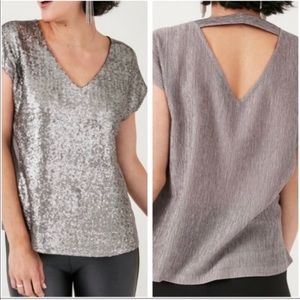 Stella & Dot Renegade Metallic Sequin Blouse